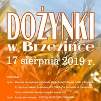 Dożynki w Brzezince